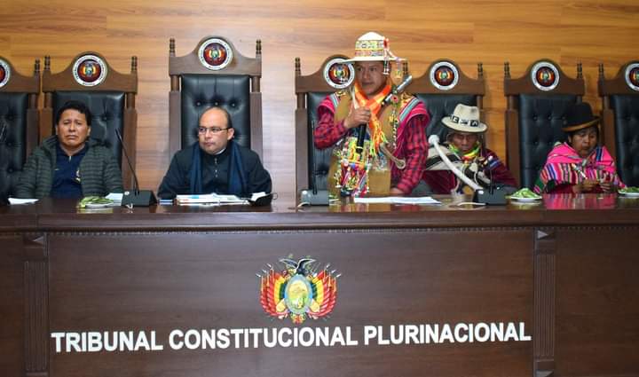 DÍA DEL TRABAJO, SENTENCIAS CONSTITUCIONALES PLURINACIONALES, TCP